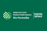 Parceiro 1
